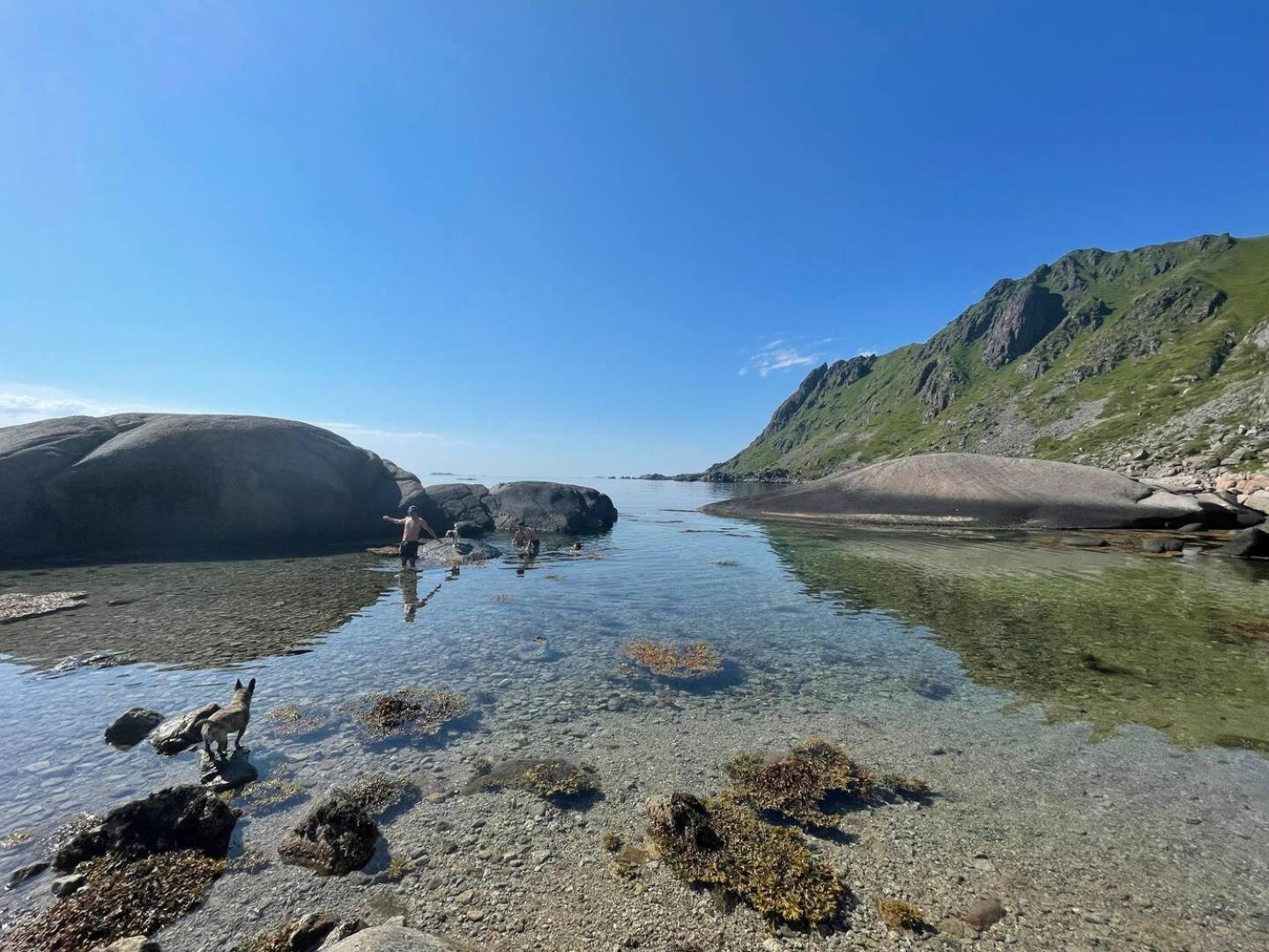 Lofoten Seaview Болстад Екстериор снимка